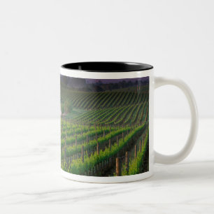 Sunrise colour in the distant fog behind Two-Tone coffee mug
