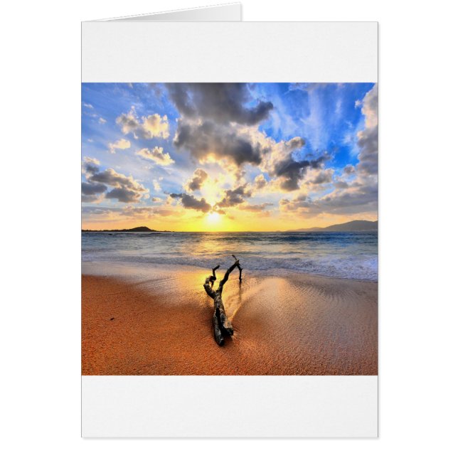 Sunrise Driftwood Beach (Front)