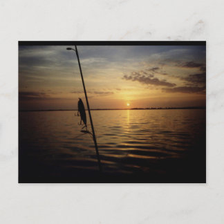 Sunrise Fishing Scene Postcard