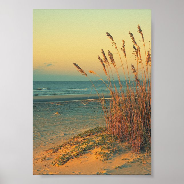 Sunrise Florida Beach Grass Poster Print (Front)