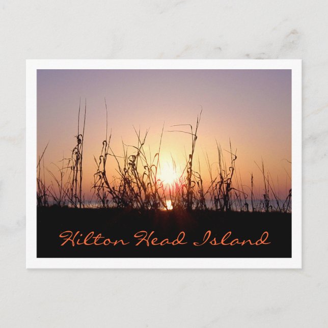 Sunrise Hilton Head Island Postcard (Front)