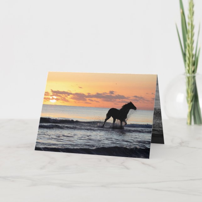 Sunrise Horse in the Water Horse Greeting Card (Front)