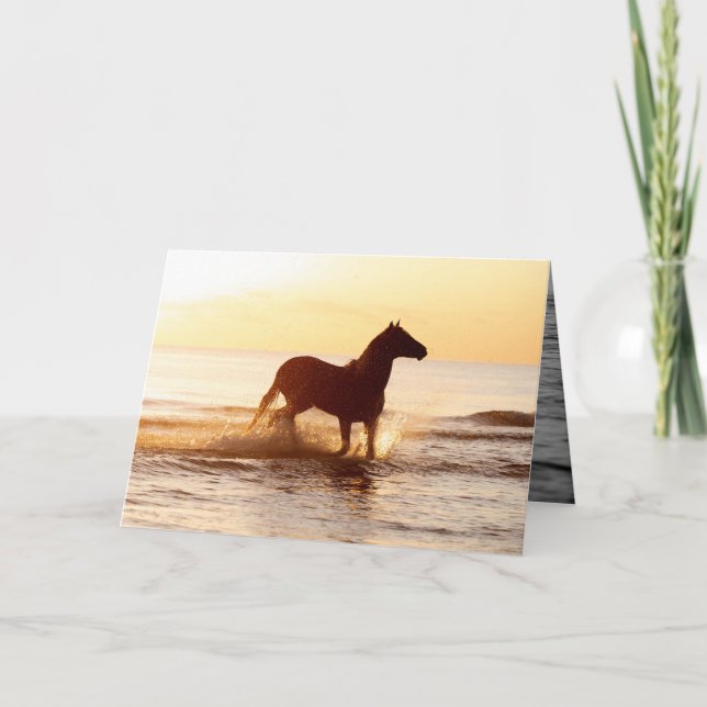 Sunrise Horse in the Water Horse Greeting Card (Front)