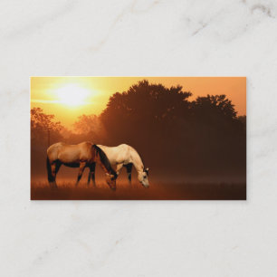 Sunrise horses business card