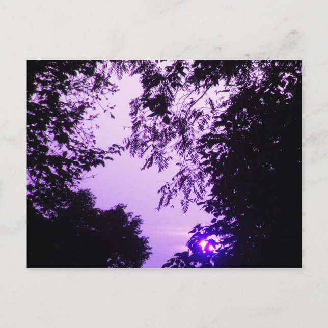 Sunrise in Purple postcard (Front)