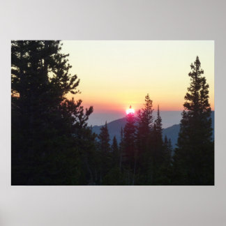 Sunrise in the Forest at Rocky Mountain Poster