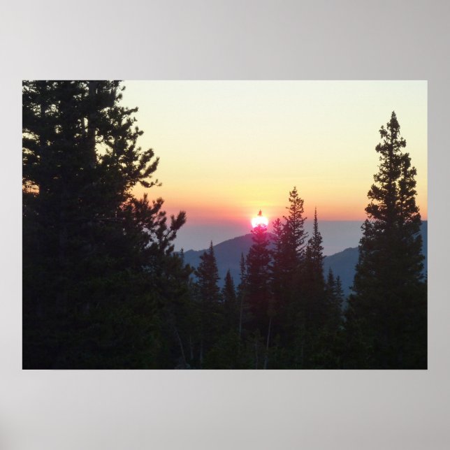 Sunrise in the Forest at Rocky Mountain Poster (Front)