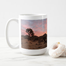 Sunrise Joshua Tree National Park Photo