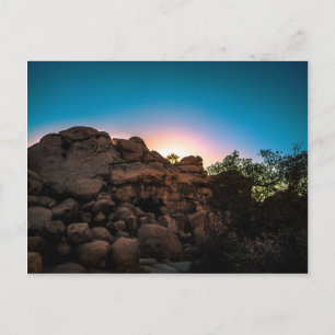 Sunrise Joshua Tree National Park Postcard
