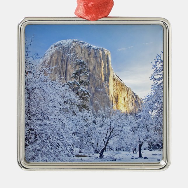 Sunrise light hits El Capitan through snowy Metal Tree Decoration (Front)