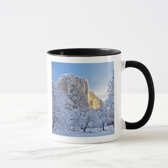 Sunrise light hits El Capitan through snowy Mug (Right)
