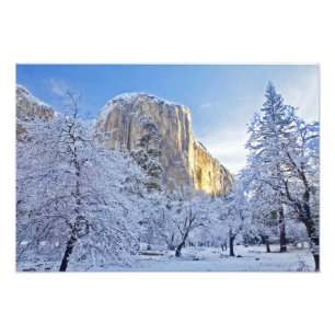 Sunrise light hits El Capitan through snowy Photo Print