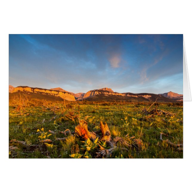 Sunrise Lights Blackleaf Canyon 2 (Front Horizontal)