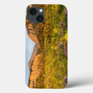 Sunrise Lights Blackleaf Canyon iPhone 13 Case