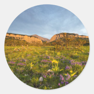 Sunrise Lights Blackleaf Canyon Classic Round Sticker