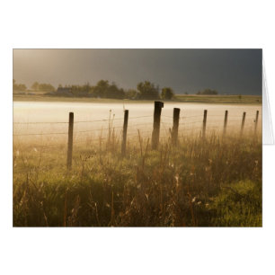 Sunrise lights fog along fence near Charlo