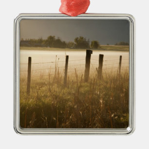 Sunrise lights fog along fence near Charlo Metal Tree Decoration