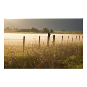 Sunrise lights fog along fence near Charlo Photo Print