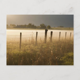 Sunrise lights fog along fence near Charlo Postcard