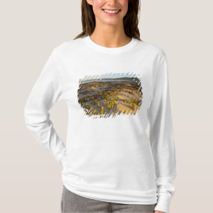 Sunrise lights the sand dunes and sea fig at T-Shirt