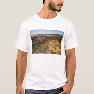 Sunrise lights the sand dunes and sea fig at T-Shirt