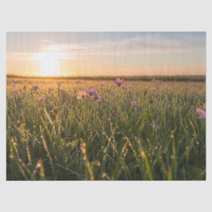 Sunrise Meadow Pink Wildflowers Dew Tissue Paper