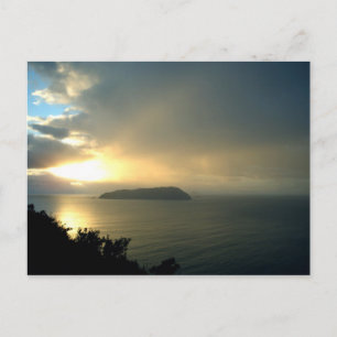 Sunrise Misty Calm Ocean New Zealand Postcards
