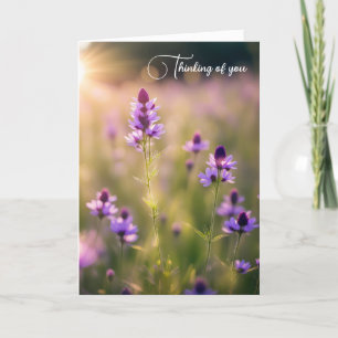 Sunrise Morning In Wildflower Field Card