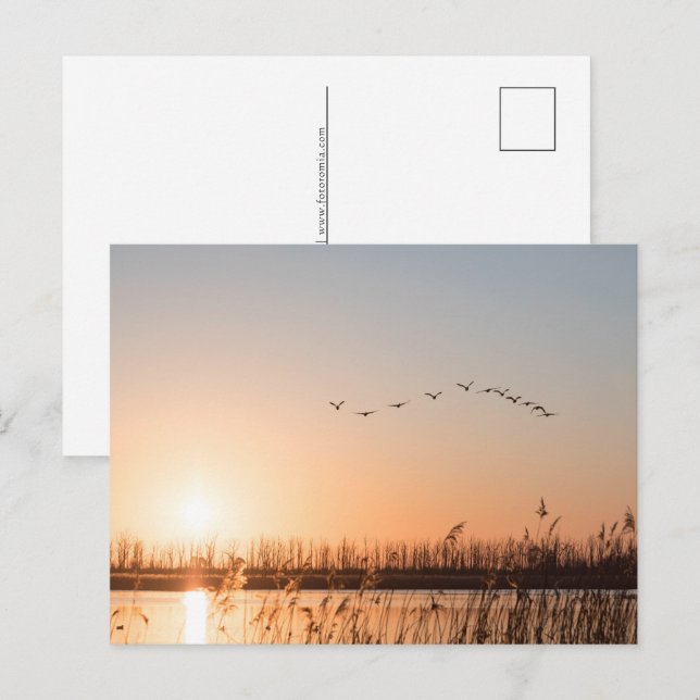 Sunrise Nature Photo Holiday Postcard (Front/Back)
