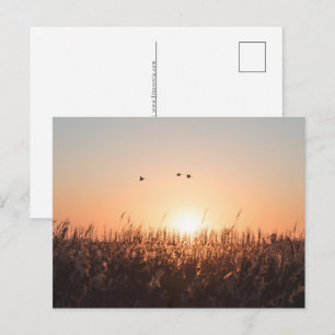 Sunrise Nature Photo Holiday Postcard