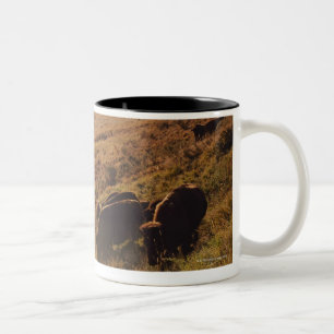 Sunrise On Bison Two-Tone Coffee Mug