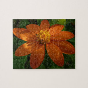 Sunrise on Mexican Sunflower Orange Floral Jigsaw Puzzle