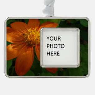 Sunrise on Mexican Sunflower Orange Floral Silver Plated Framed Ornament