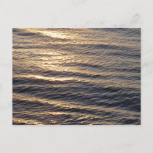 Sunrise on Ocean Waters Postcard