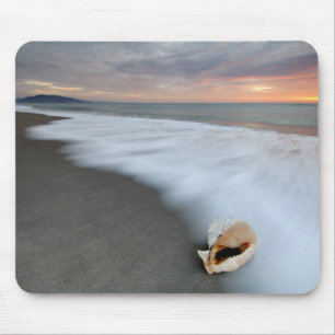 Sunrise On The Beach And A Shell Mouse Pad