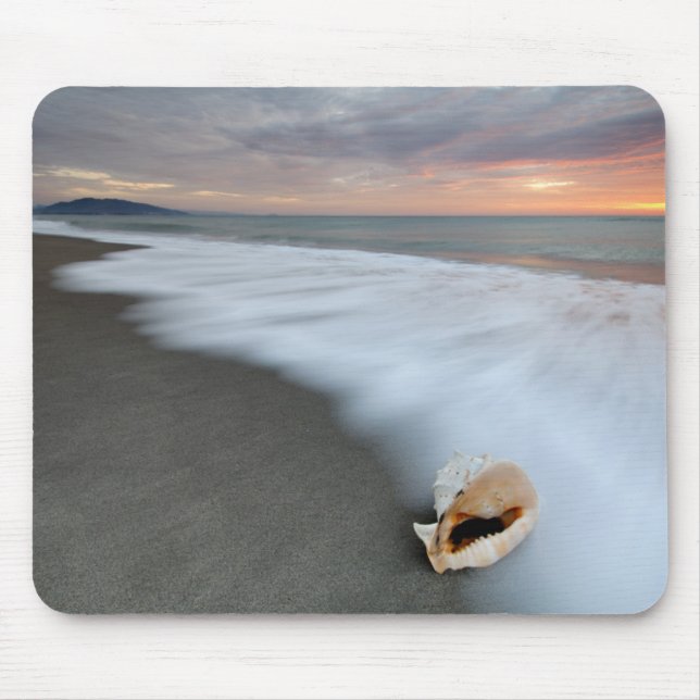 Sunrise On The Beach And A Shell Mouse Pad (Front)