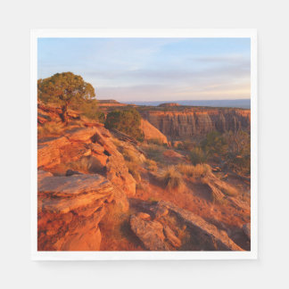 Sunrise on the Grand View Trail at CO Monument Napkin