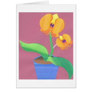 Sunrise Orchid