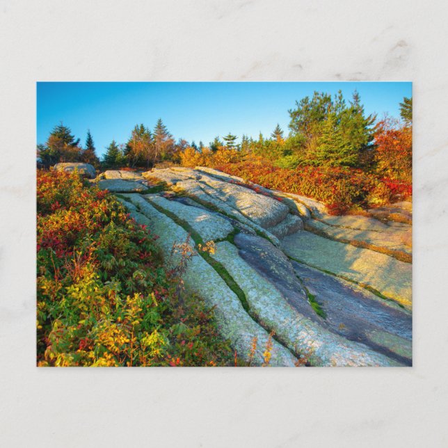 Sunrise over Cadillac Mountain Postcard (Front)
