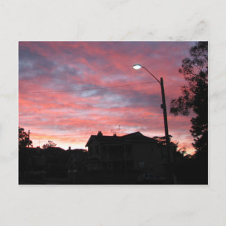 Sunrise over Centennial Park, Sydney Postcard