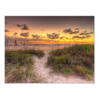 Sunrise Over Sand Dunes in Daytona Beach, FL Photo Print