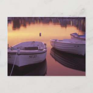 Sunrise over Stari Grad harbour with fishing Postcard