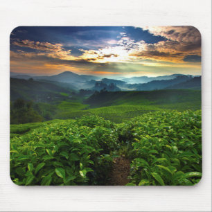 Sunrise over Tea Farm Mouse Pad