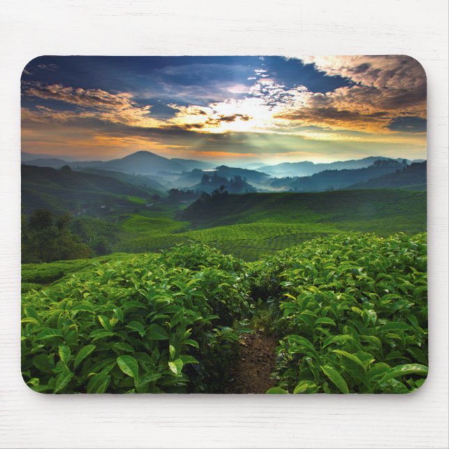 Sunrise over Tea Farm Mouse Pad (Front)