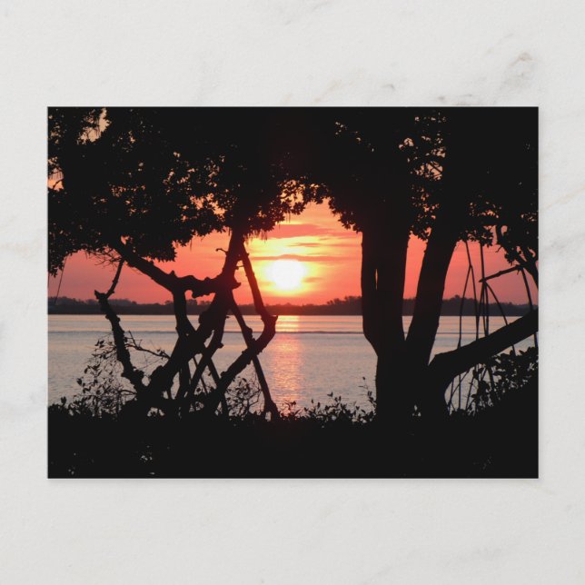 Sunrise over the Bay Postcard (Front)