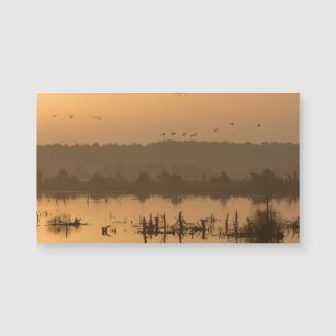 Sunrise over the marsh