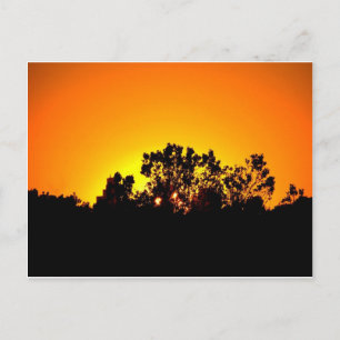 Sunrise Postcard