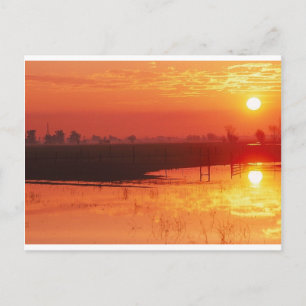 Sunrise Postcard
