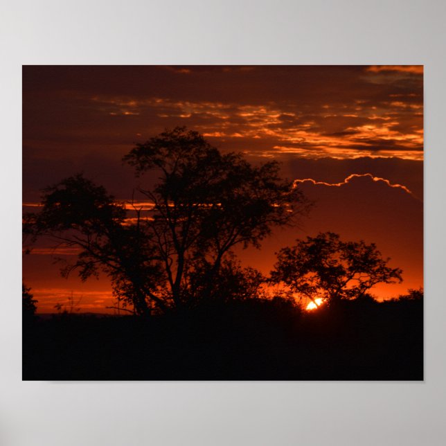 sunrise poster (Front)