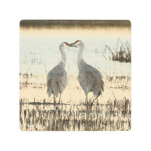 Sunrise Sandhill Crane pair